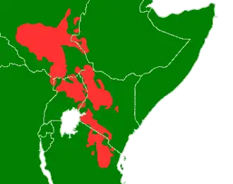 Image illustrative de l’article Langues nilotiques