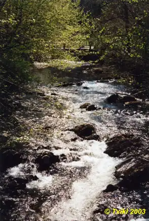 La Nivelle à Dantxariena (Navarre et Labourd).