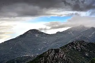 Image illustrative de l’article Forêt de Rospa-Sorba