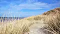 Plage de Bray-Dunes dans le Nord