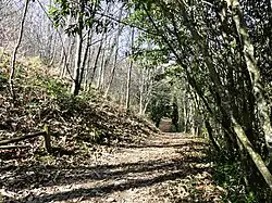 L'arboretum de la Fot.