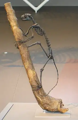 Description de cette image, également commentée ci-après