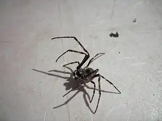 Description de cette image, également commentée ci-après