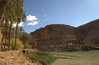 Daïra de M'Chouneche