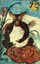 Une obake-karuta représentant un tanuki, fin du XIXème siècle.