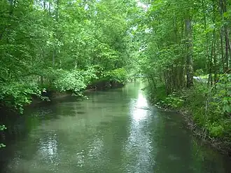 L'Oberriedgraben, rivière de l'Illwald.