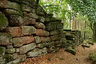 Photographie d'un mur de pierre en ruine et entouré d'arbres en pleine forêt.
