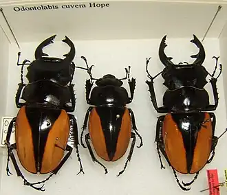 Description de cette image, également commentée ci-après