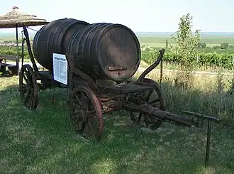 Oggau am Neusiedler See