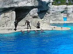 Image illustrative de l’article Oltremare