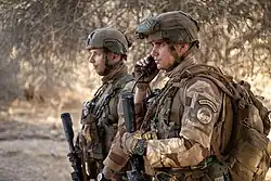 Opération Barkhane, Mali - 2020.