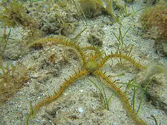 Description de cette image, également commentée ci-après