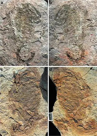 Description de cette image, également commentée ci-après