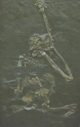 Description de cette image, également commentée ci-après