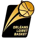 Orléans Loiret Basket (septembre 2010 - juillet 2014)