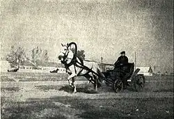 Photographie en noir et blanc d'un attelage à un cheval.
