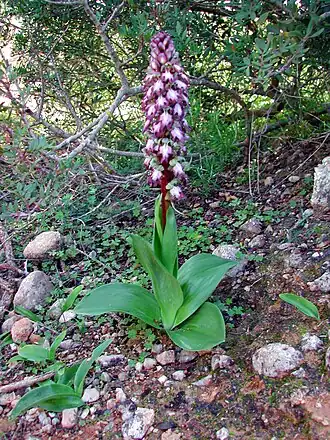 Description de cette image, également commentée ci-après