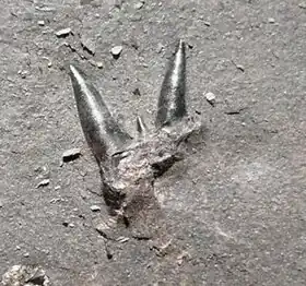 Description de cette image, également commentée ci-après