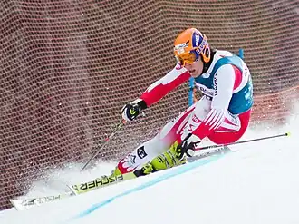 Image illustrative de l’article Otmar Striedinger