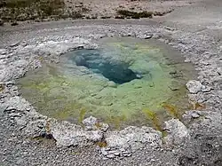 Oval Spring en août 2017.