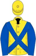 Yellow, Dark Blue cross belts and sleeves