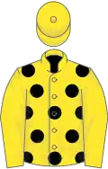 Yellow, black spots, yellow sleeves and cap