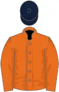 Orange, orange sleeves, dark blue cap