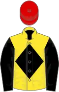 Yellow, Black diamond and sleeves, Red cap