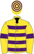 Yellow, purple hooped, yellow sleeves, purple armlets, yellow cap, purple hooped