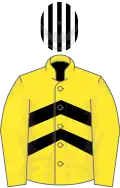 Yellow and black chevrons, yellow sleeves, white and black striped cap