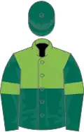 light green and dark green halved horizontally, light green armlets on dark green sleeves, dark green cap
