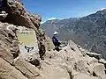 Cruz del Condor au Canyon de Colca