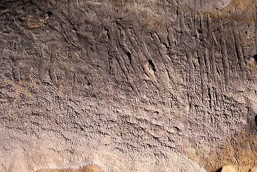 Tracés digitaux de la salle des Mystères dans la grotte de Bàsura.