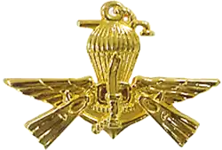 Badge PASKAL