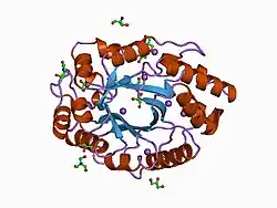Description de l'image PDB_1bg4_EBI.jpg.