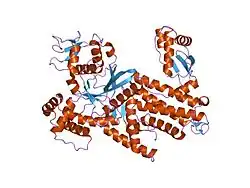 Description de cette image, également commentée ci-après