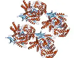 Description de cette image, également commentée ci-après