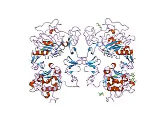 Image illustrative de l’article Facteur de croissance épidermique