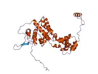 Description de l'image PDB 1n93 EBI.jpg.