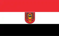 Drapeau de Łasin