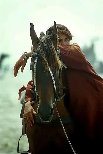 Image illustrative de l’article Cheval au Pakistan