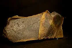 Photo d'une plaquette en calcaire gravée, représentant une tête de cheval