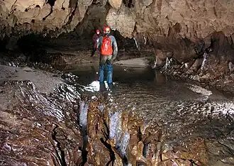 Formes de corrosion dans la Cueva de Palestina, Nueva Cajamarca, Rioja, San Martin, Pérou.