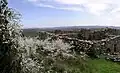 Printemps sur le causse du Larzac (22 avril 2018) à la chapelle Saint-Vincent de la Goutte (Pégairolles-de-l'Escalette, Hérault).