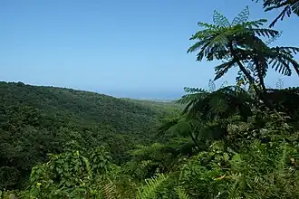 Chutes du Carbet, Basse-Terre, Guadeloupe