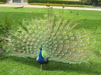 Description de cette image, également commentée ci-après