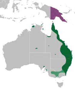 Répartition de Papilio aegeus aegeus (en vert et vert clair : présence temporaire) et de Papilio aegeus ormenus (violet)