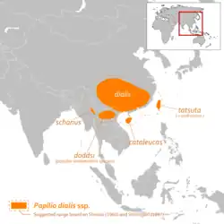 Répartition de Papilio dialis