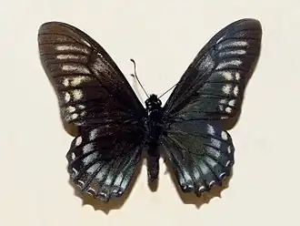 Description de cette image, également commentée ci-après