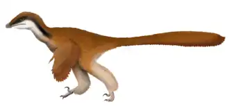 Description de l'image Papiliovenator Life Restoration.png.